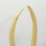 Pair of fake elephant tusks - 20th century H:82cm