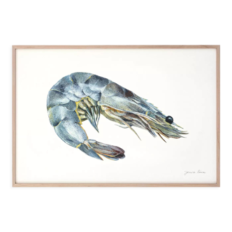 "Salome", the grey shrimp, art print 21/29.7 cm