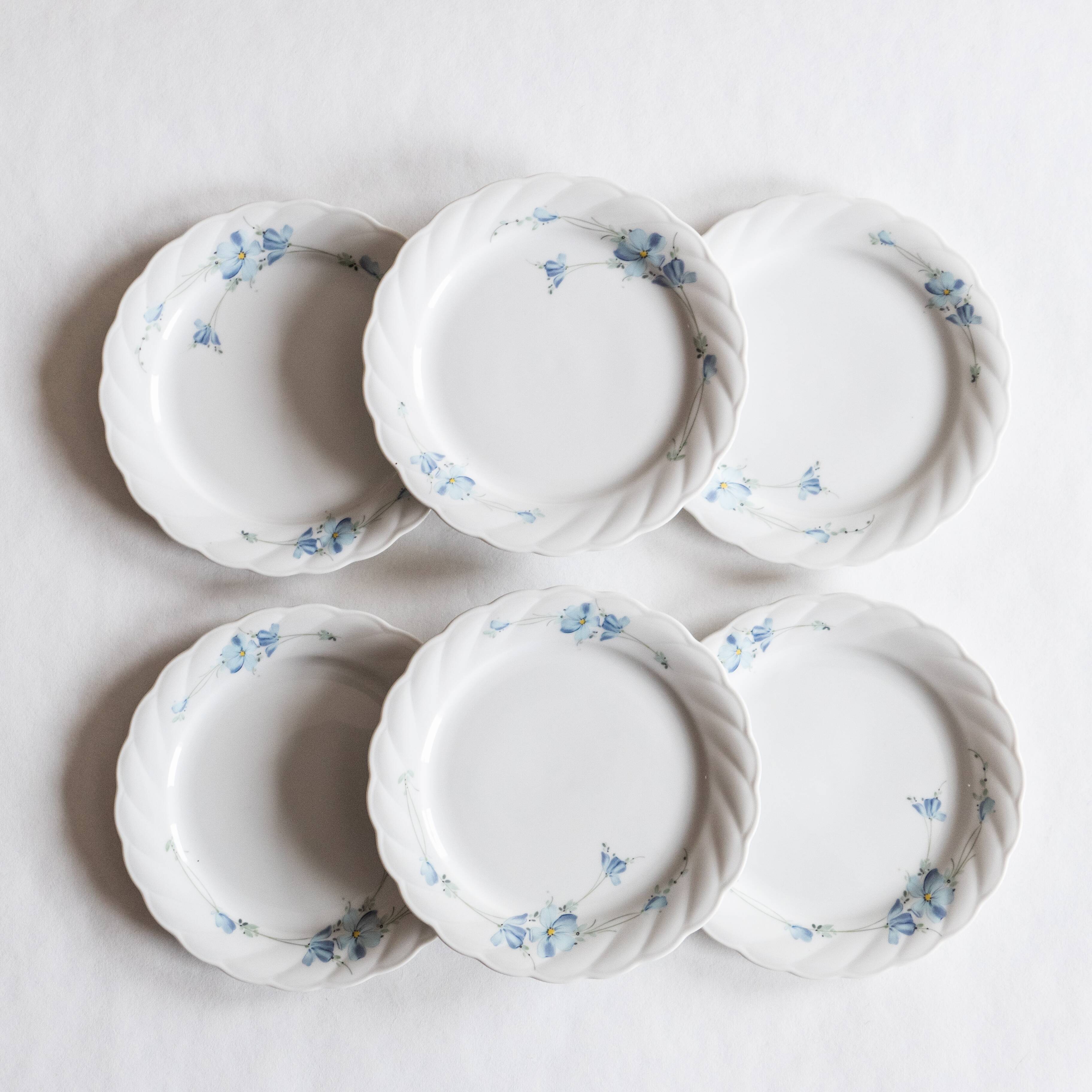 6 Bavarian porcelain plates blueberry model