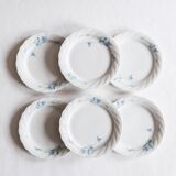 6 Bavarian porcelain plates blueberry model