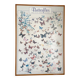 TABLEAU Display BUTTERFLY Italy