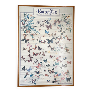 TABLEAU Display BUTTERFLY Italy