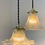 Duo lamps Holophane floral style