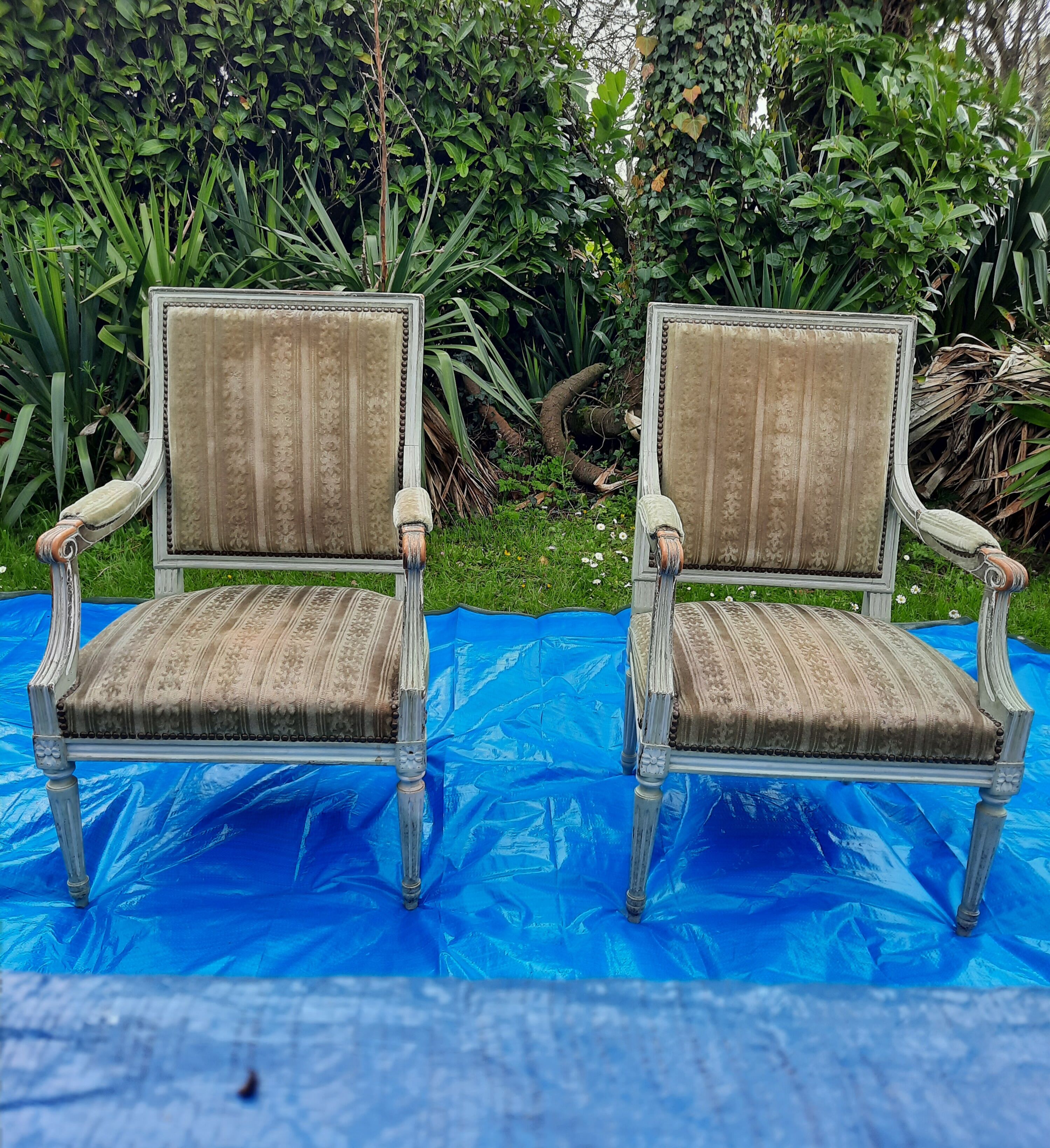 Pair of Faiteuil Louis XVI style