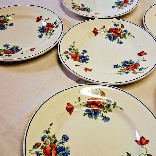 6 flat plates from Salins les Bains, "Poppies" pattern, in very good condition
