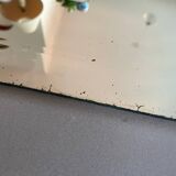 Beveled mirror 42x166cm