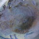 Xxl dish in nocturnal blue and black sandstone