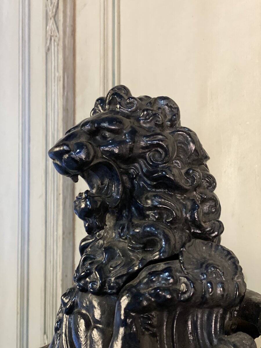 Pair of cast iron fire dogs