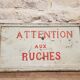 Ancien panneau en bois peint "attention aux ruches"