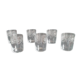 Set 6 engraved glasses