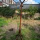 Parrot coat rack Baumann