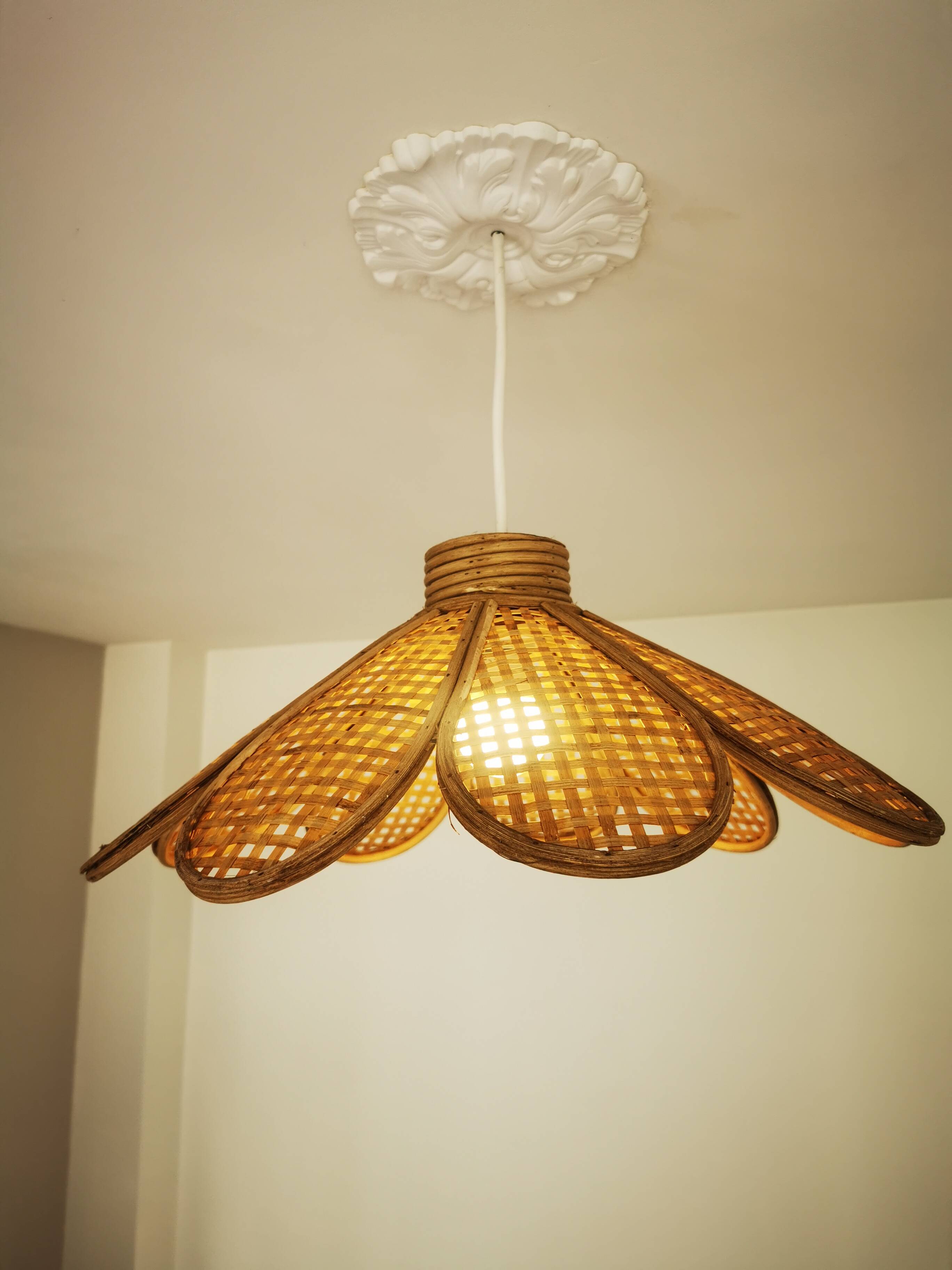 Bamboo rattan suspension and canning