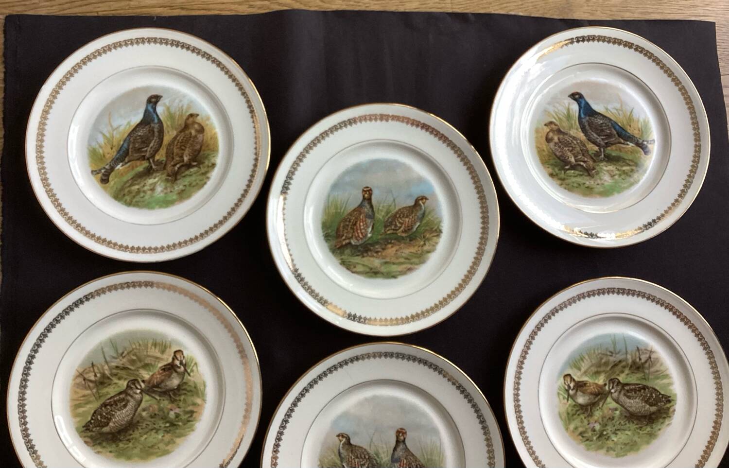 Flat plates PL Emaux Limoges Fafrique Mehun