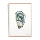 Paule, oyster 3, art print 20/30cm