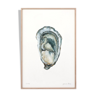 Paule, oyster 3, art print 20/30cm