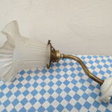 Gooseneck wall light with tulip