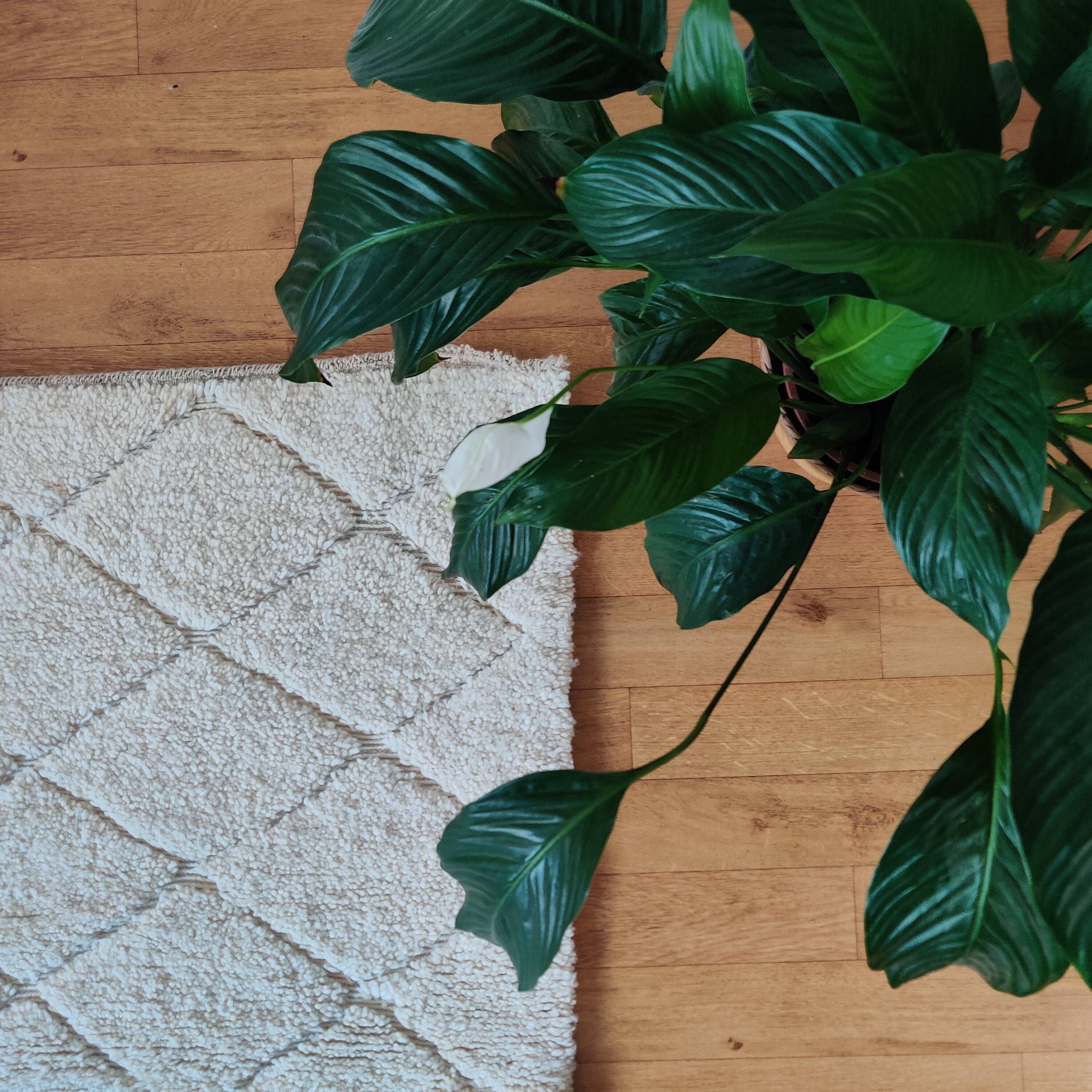 Moroccan rug with white diamond pattern