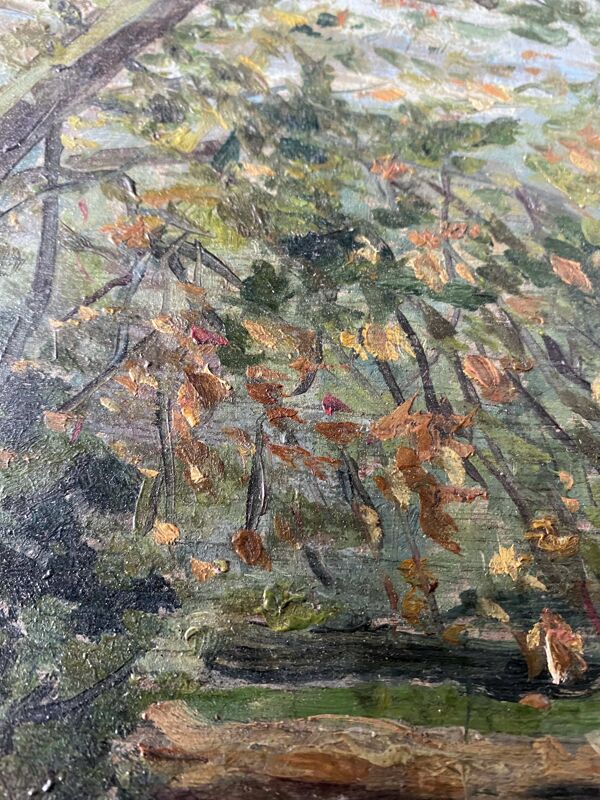 Tableau HSP ''L'étang arboré'' Parc signé C. Moris 1909