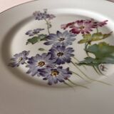 Charles Field Haviland plates