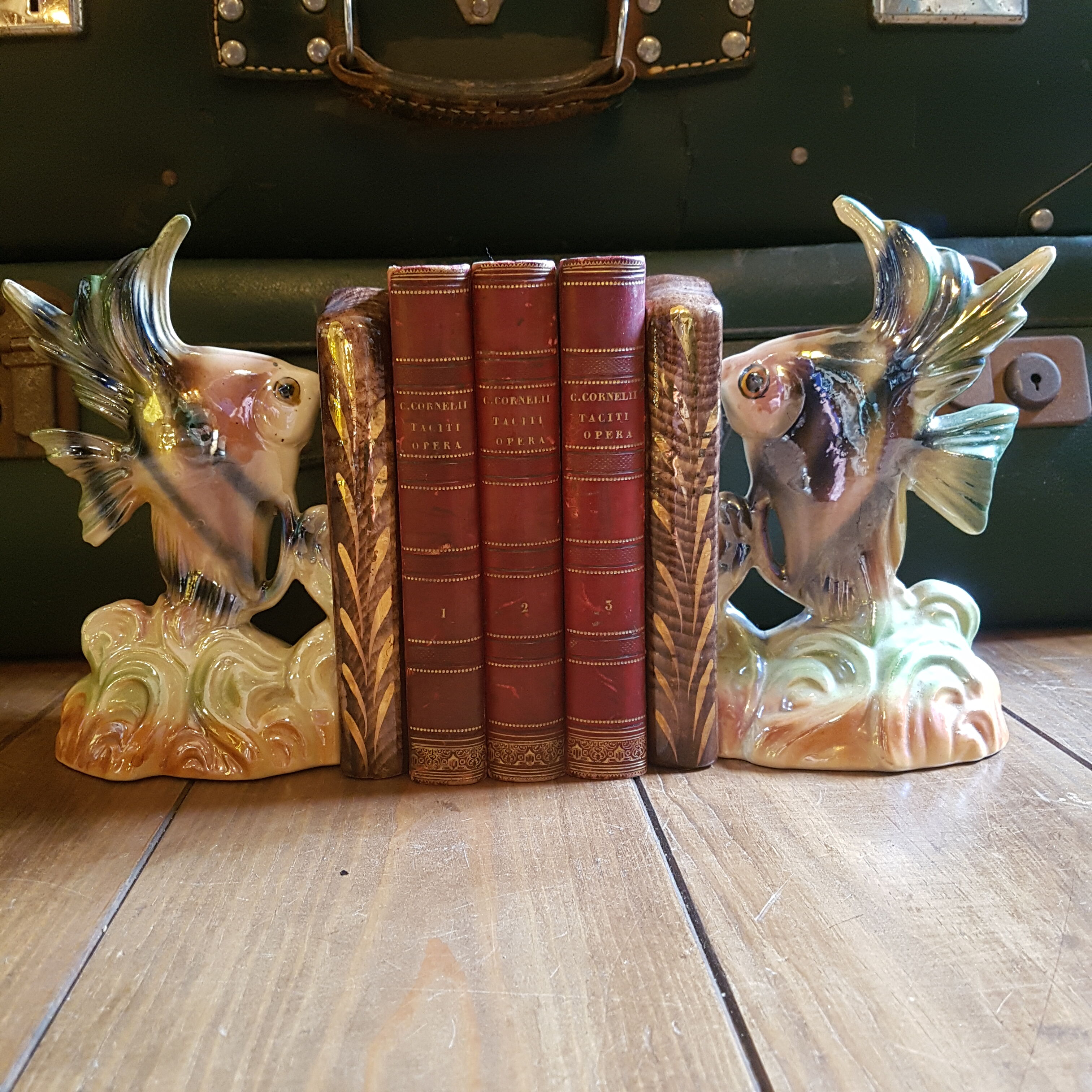 Pair of ceramic book greenhouse