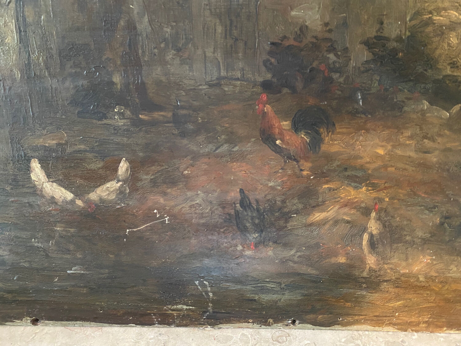 Still life and 19th century school chickens
