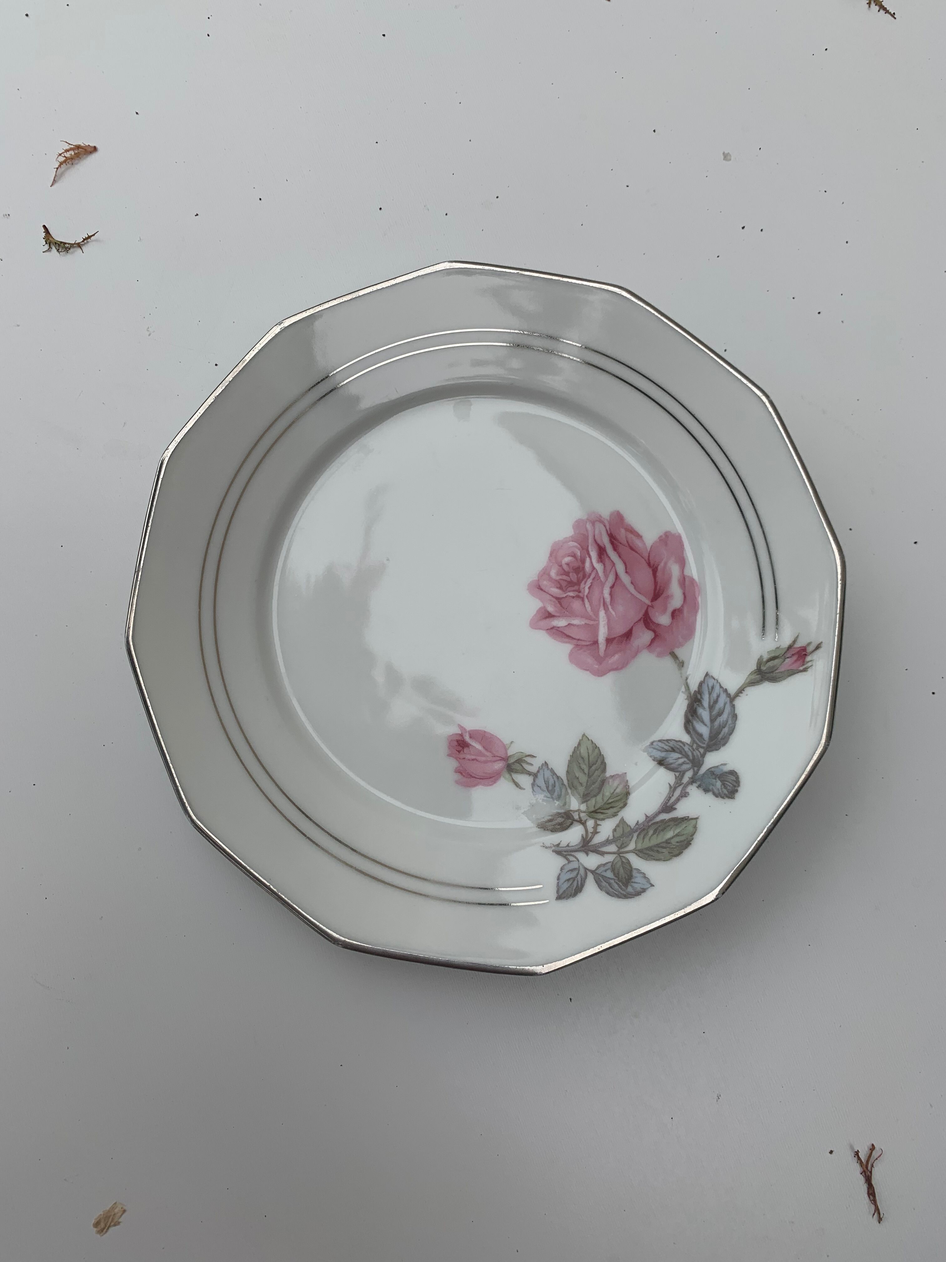 6 dessert plates in white porcelain with art deco rose pattern