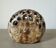 Alexandre Kostanda speckled flower holder