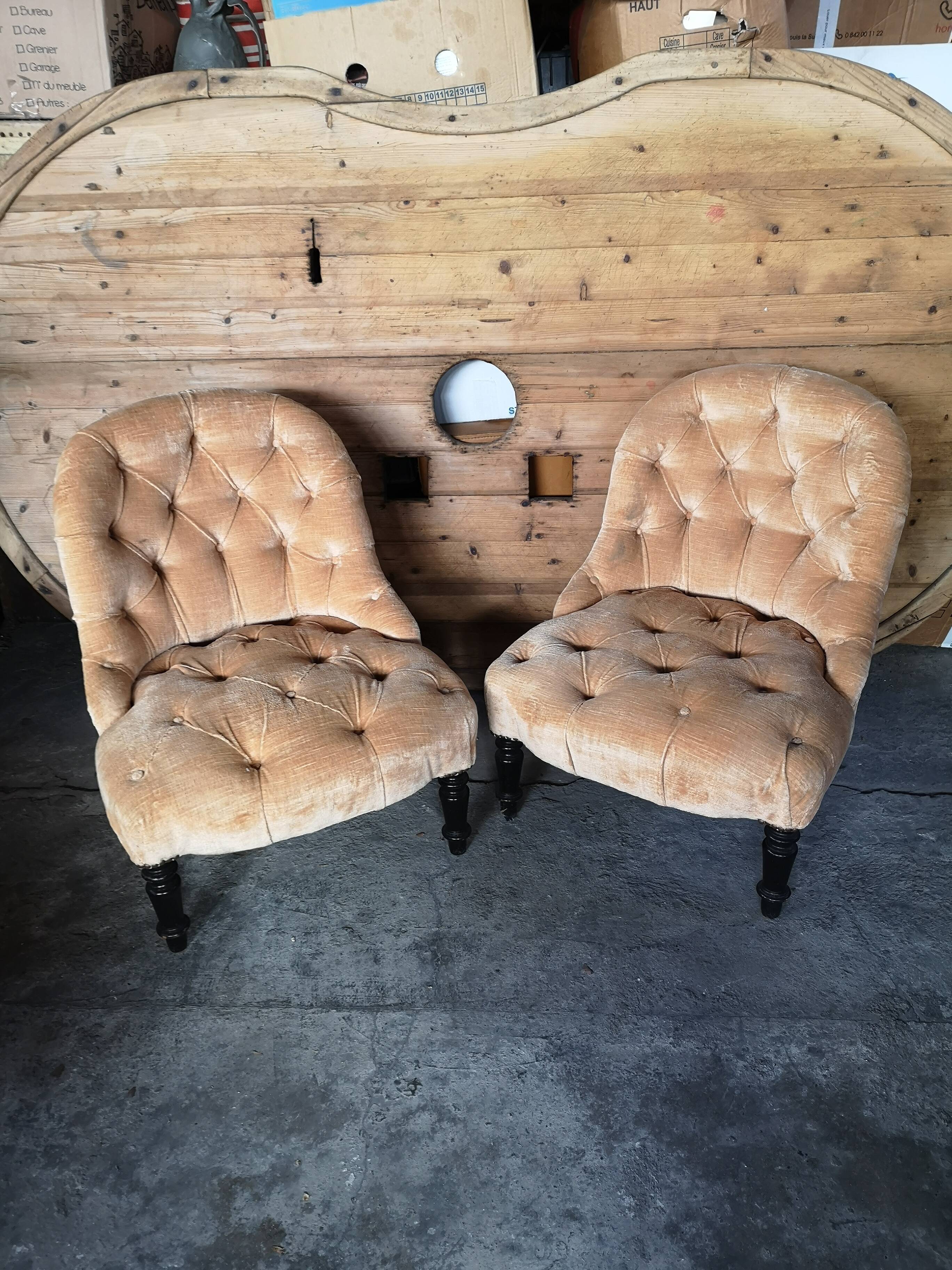 Pair of velvet toad armchairs