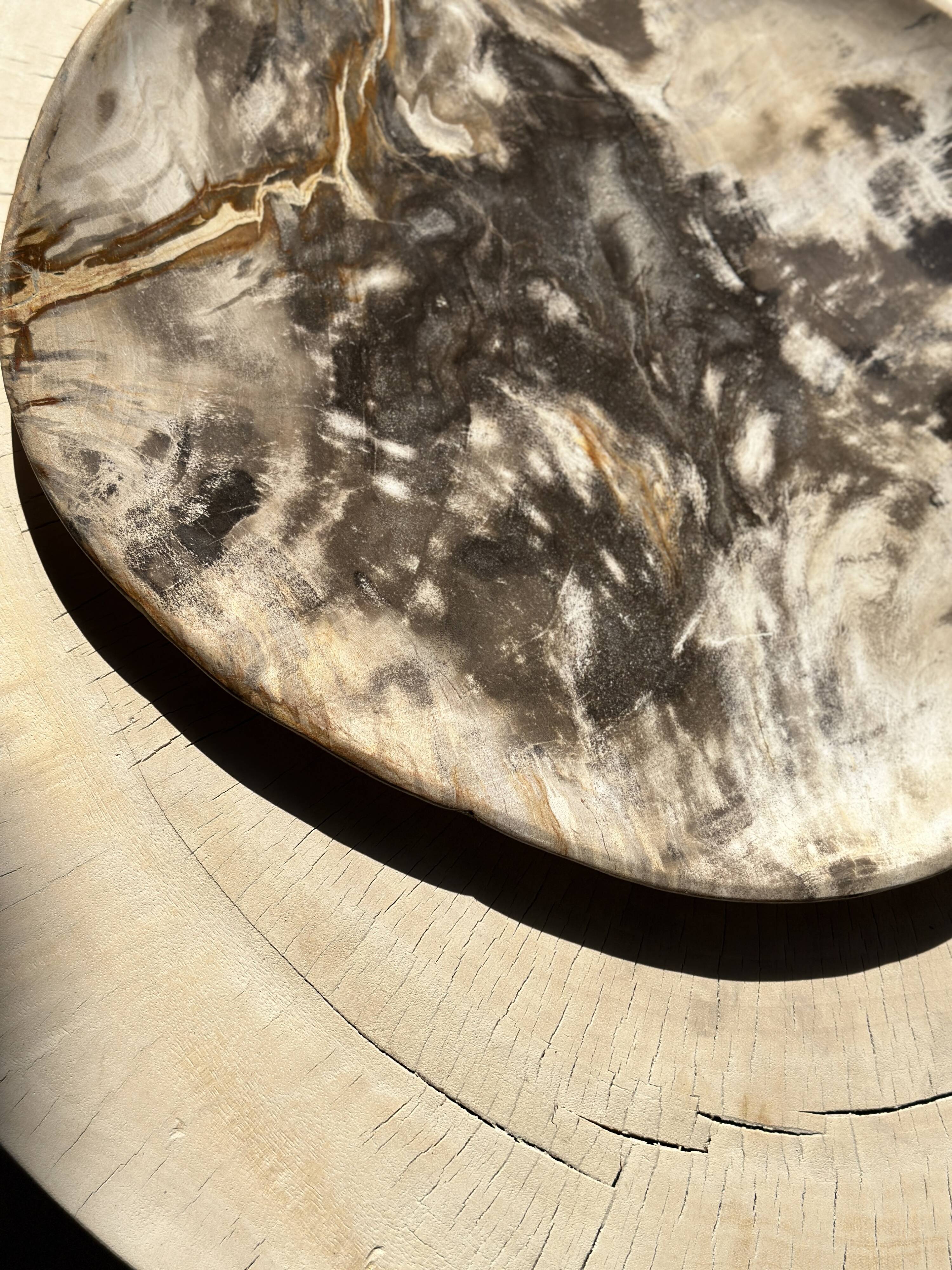 Very large pocket or dish in petrified wood