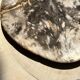 Very large pocket or dish in petrified wood