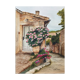 Fine art print of watercolor "Bormes-les-Mimosas"