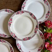 Set of 6 antique flat plates - Saint Amand Céranord