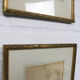 Set of 3 copperplate engravings from the famous book "Flora Batava, 1807"-1814