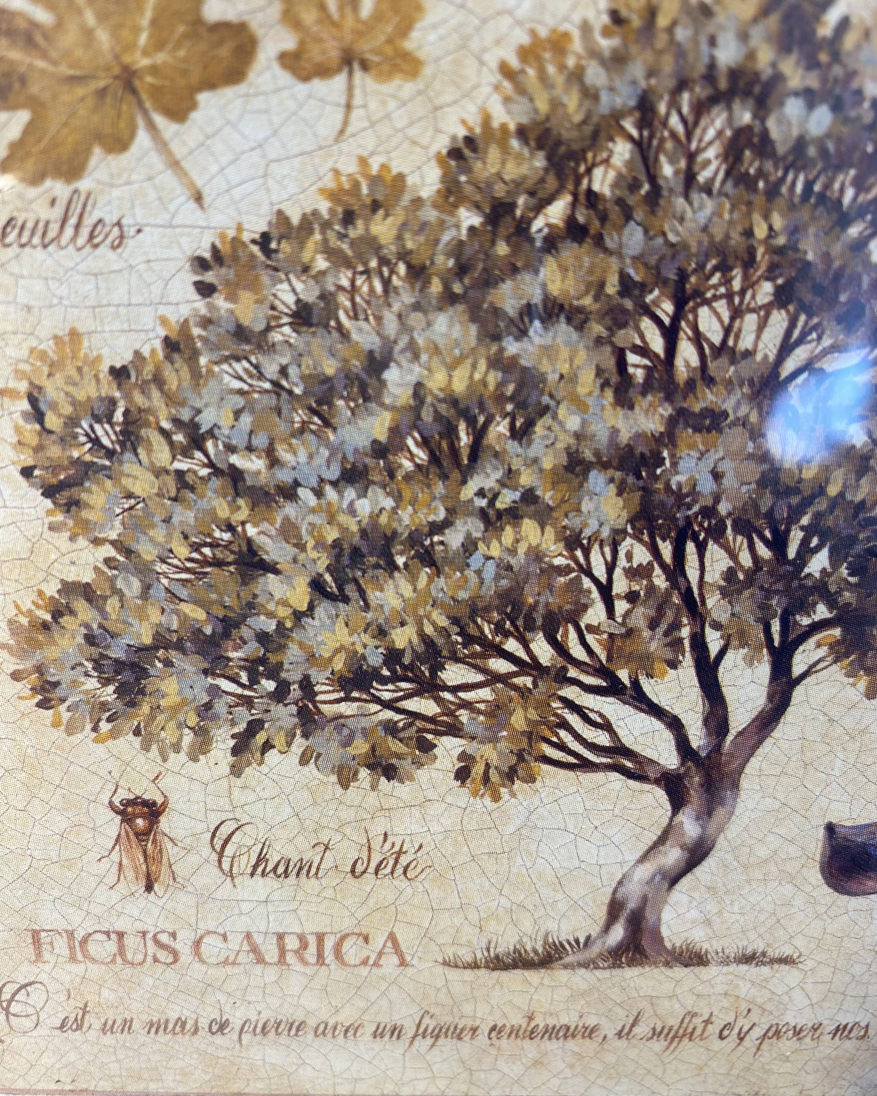 Botanical painting, fig tree of the south, XXI century