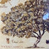 Botanical painting, fig tree of the south, XXI century