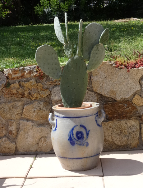 Stoneware planter