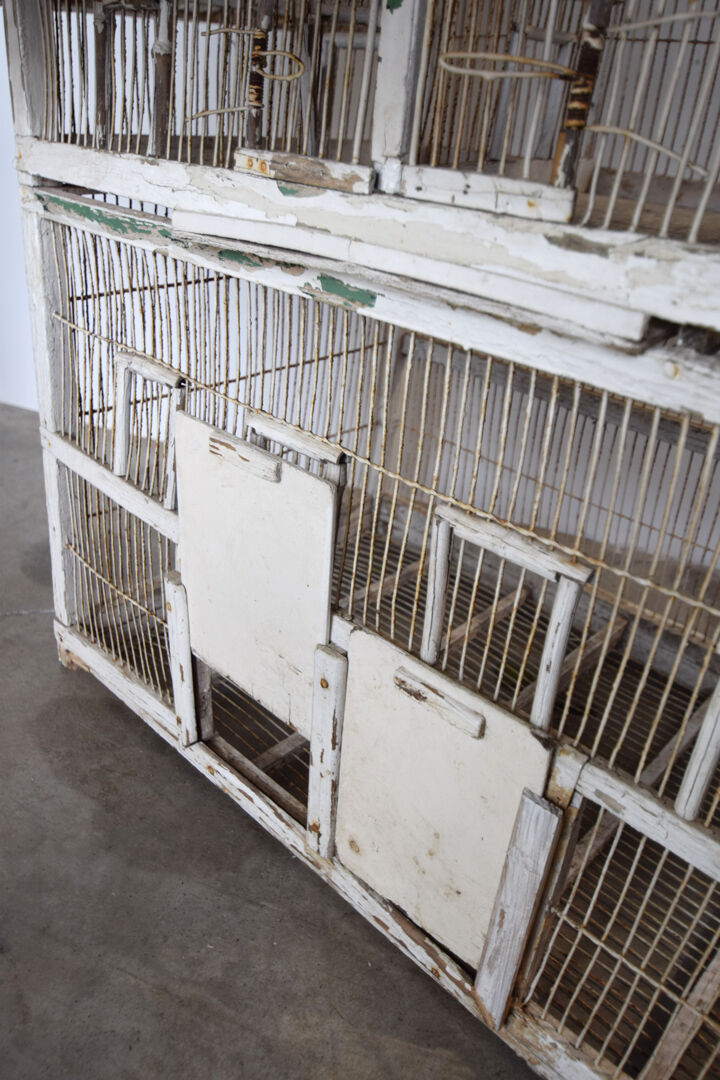 Great aviary bird cage nineteenth century