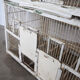 Great aviary bird cage nineteenth century