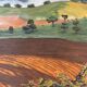 Paysage de campagne