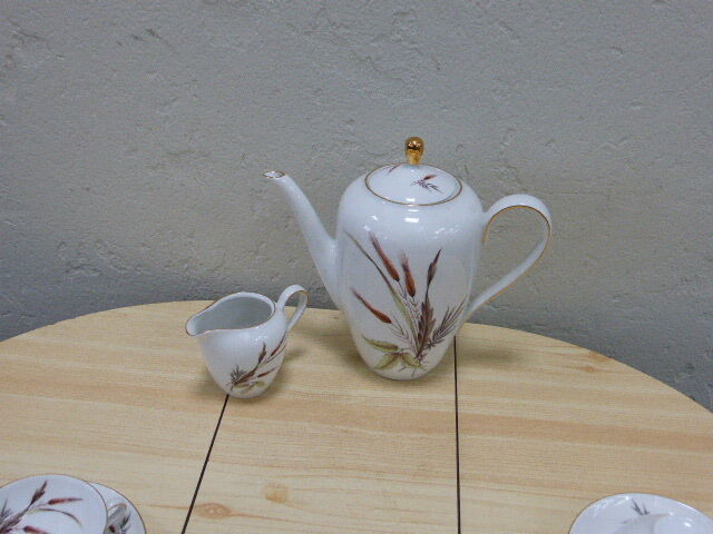 Service has coffee porcelain patterns vintage 1960 corn cobs