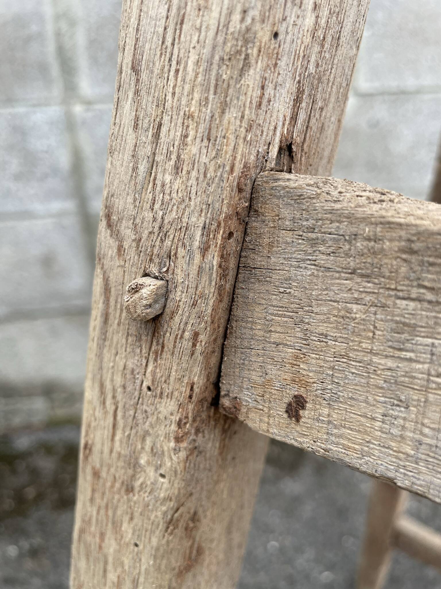 Old wooden painter's ladder