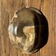 Dark beige oval petrified wood bowl 25x19 - 3782
