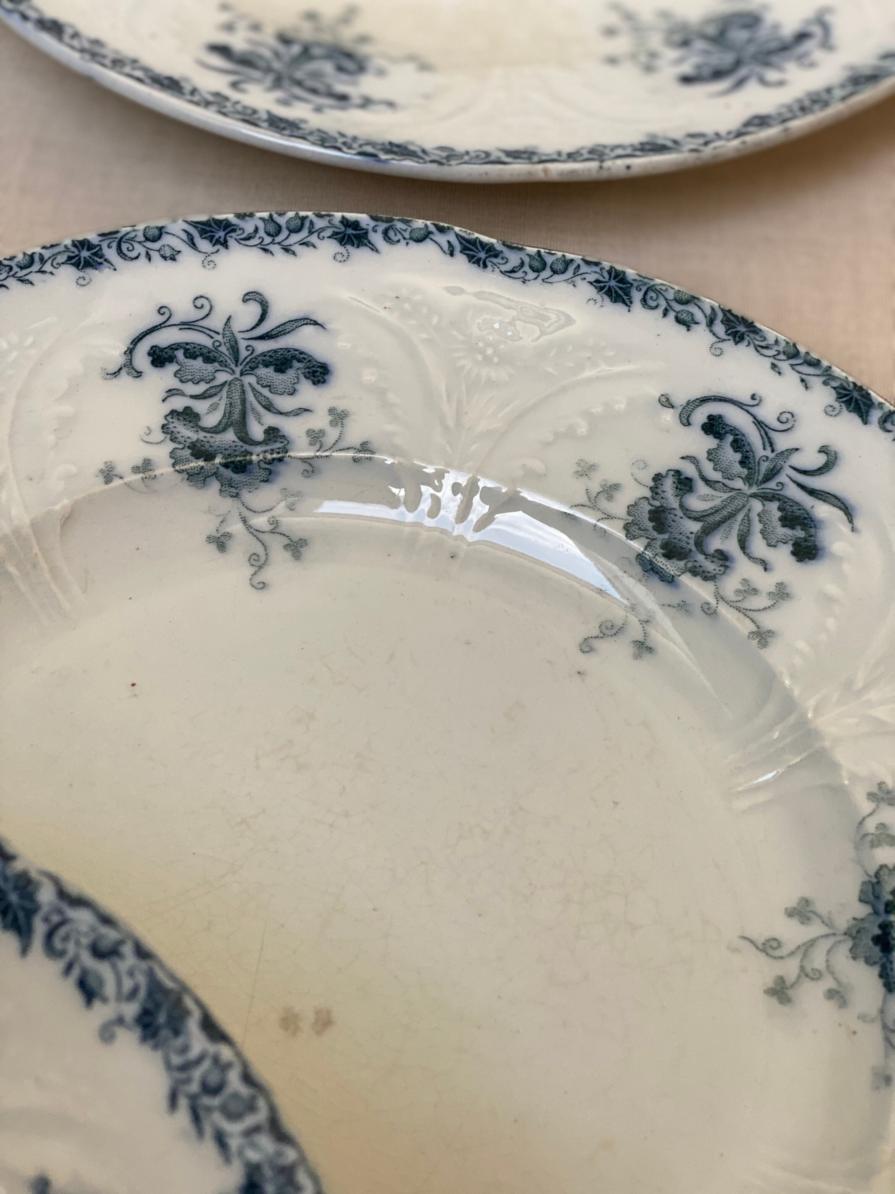 Plates iron earth flowers