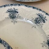 Plates iron earth flowers