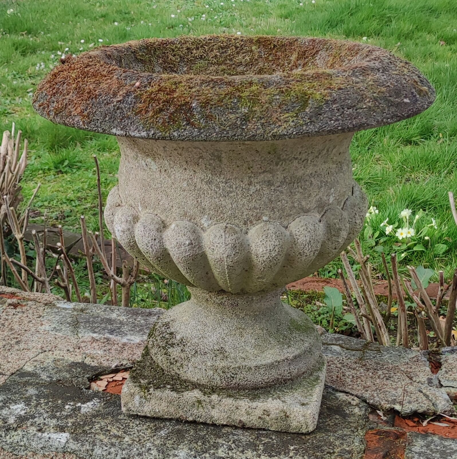 Ancient Medici in reconstituted stone