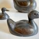 Vintage DUCKS Family