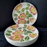 6 flat plates orchies wolves' mill ontario model