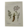 Old botanical plate 1800 France flower and plants nature