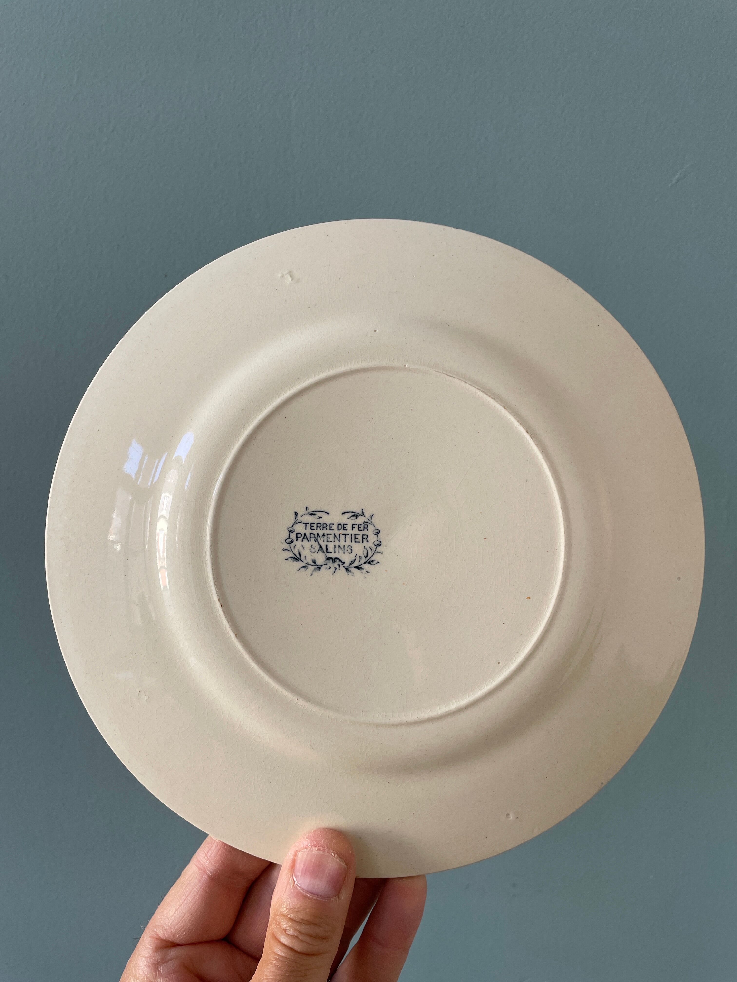 Set of 7 plates Terre de Fer XIXth mismatched