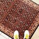 Vintage indian carpet tabriiz handmade 100cm x 130cm 1980s, 1c718
